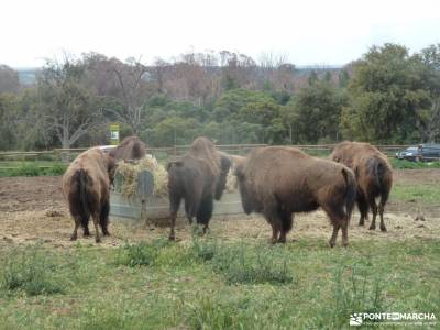 Ruta senderismo 40000 pasos; desembocadura del tajo embalse de cijara sierra de castril hoces del du